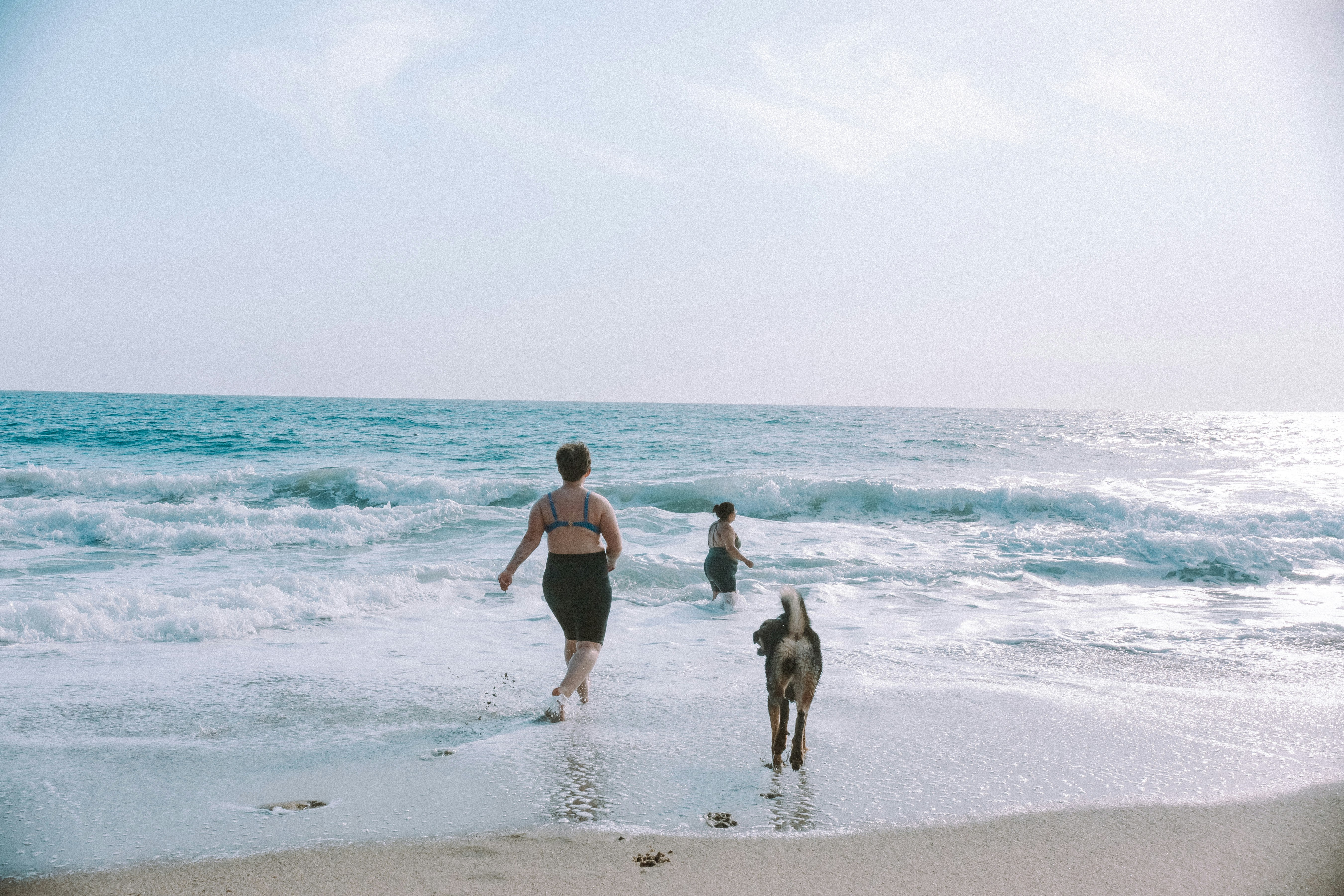 woman in black bikini walking on beach with dog during daytime